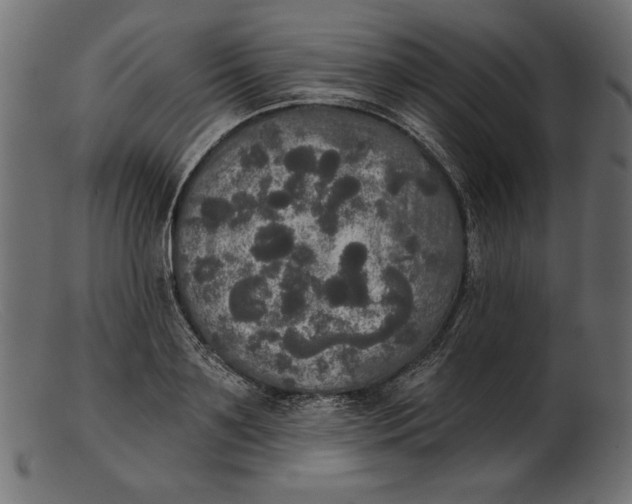 X0000103220891200809111505