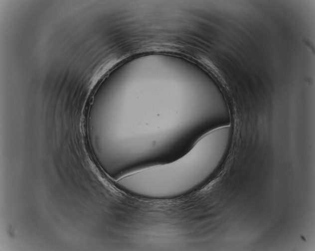 X0000103220893200809111505