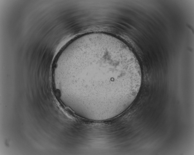 X0000103220894200809111505