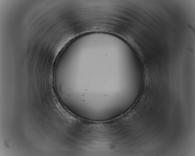 X0000103220896200809111505