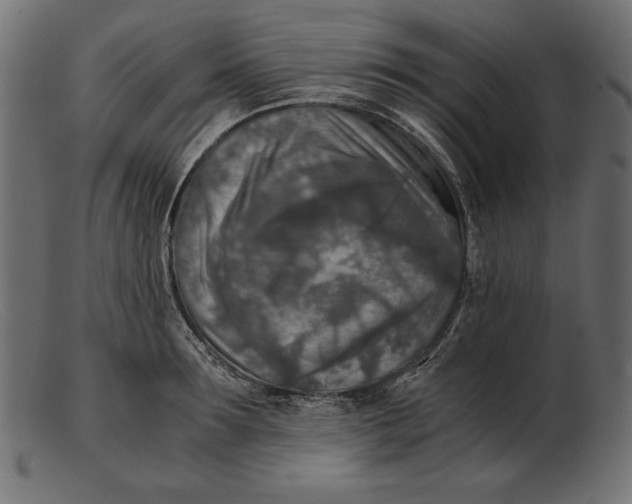 X0000103220899200809111505