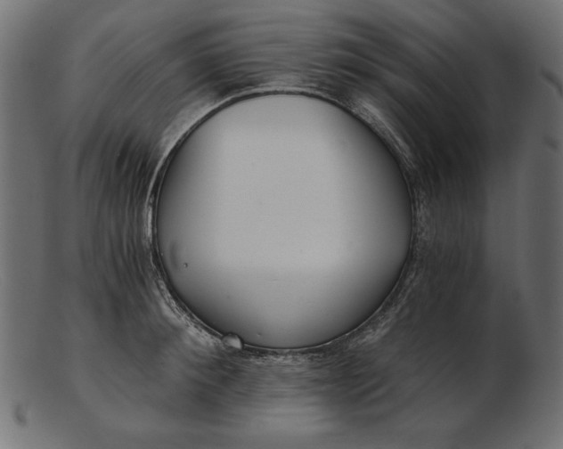 X0000103220900200809111505