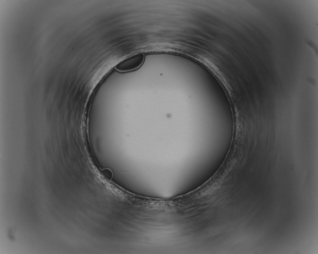 X0000103220901200809111505