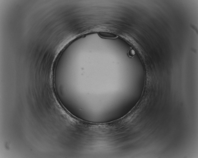 X0000103220902200809111505