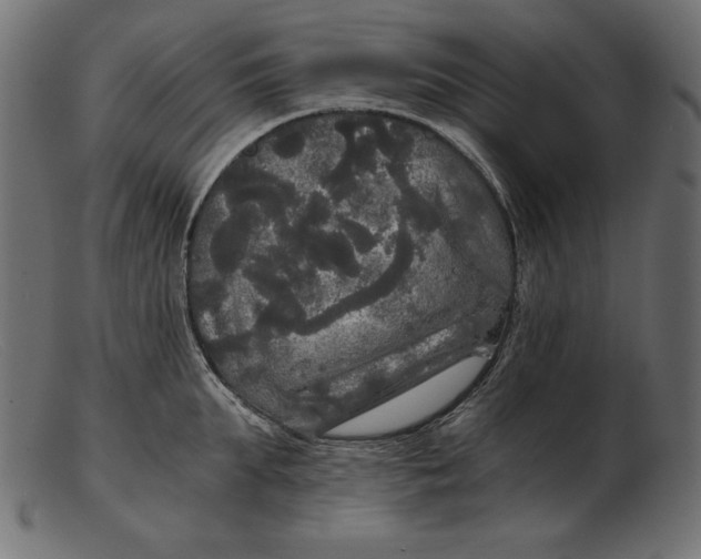 X0000103220903200809111505