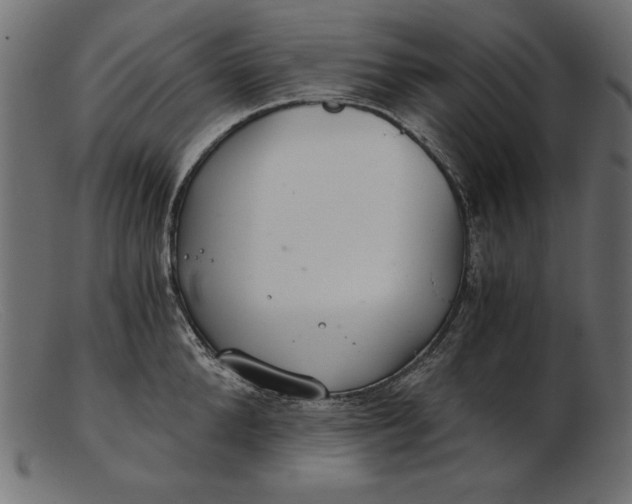 X0000103220904200809111505