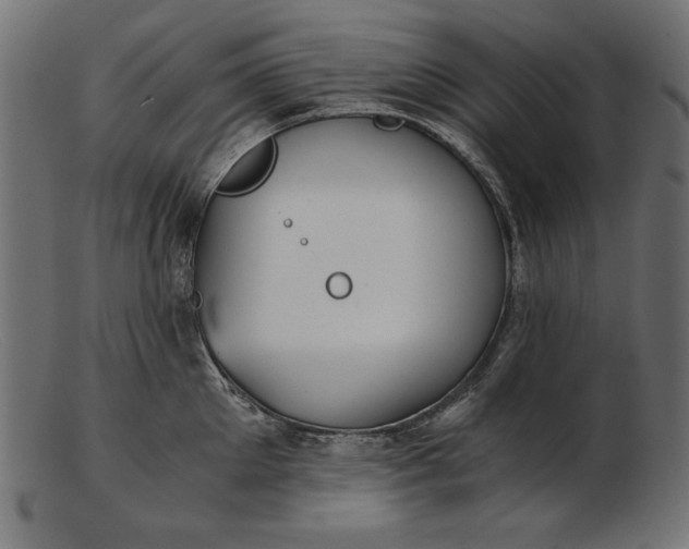 X0000103220905200809111505