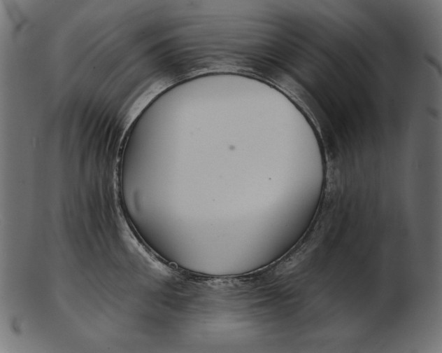 X0000103220906200809111505