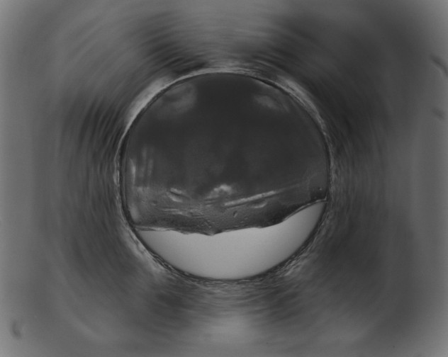 X0000103220907200809111505