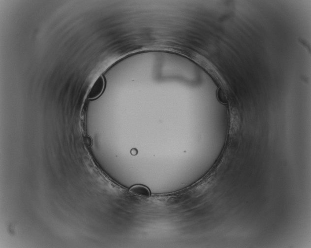 X0000103220908200809111505