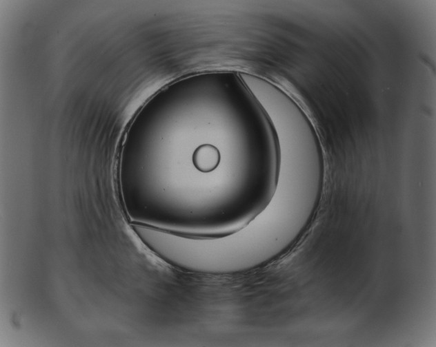 X0000103220909200809111505