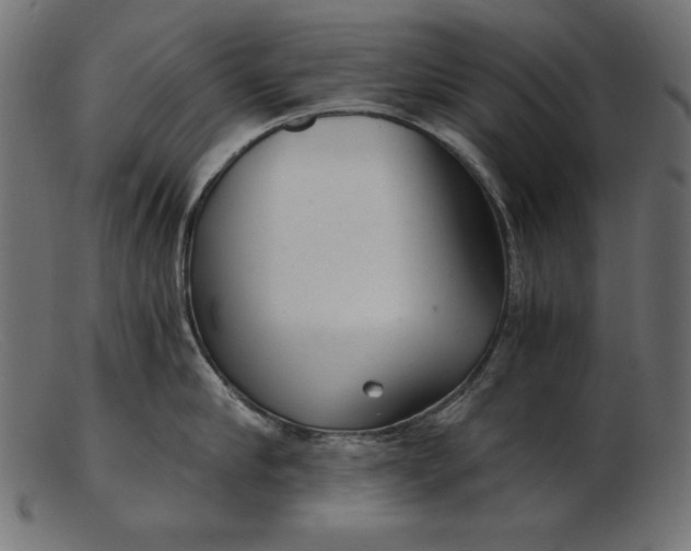 X0000103220910200809111505