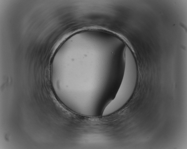 X0000103220911200809111505