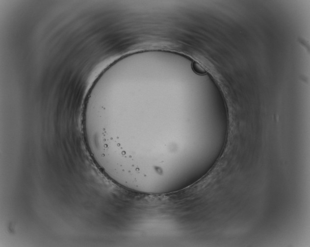 X0000103220912200809111505