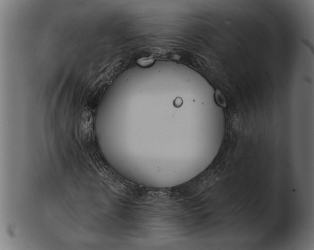 X0000103220914200809111504