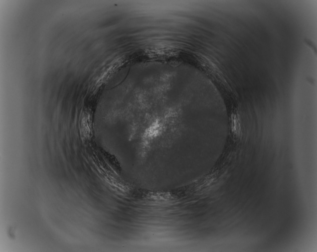 X0000103220915200809111504