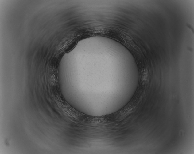 X0000103220916200809111505