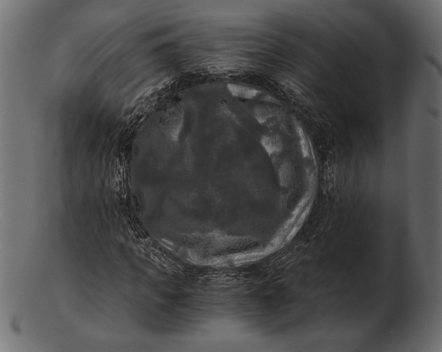 X0000103220917200809111505