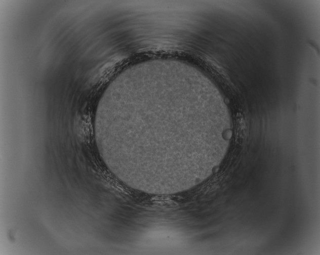 X0000103220918200809111505