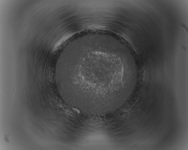 X0000103220919200809111505