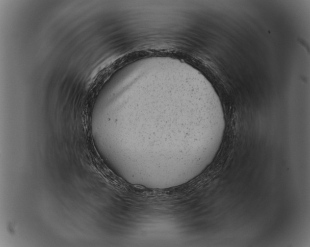 X0000103220920200809111505