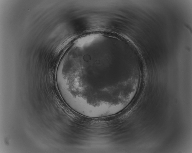 X0000103220921200809111505