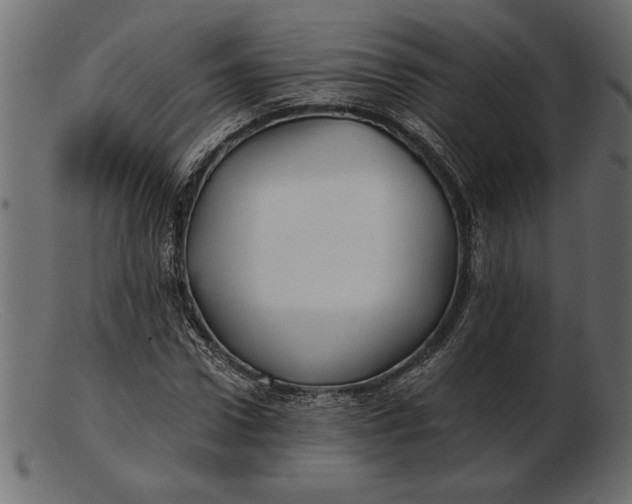 X0000103220922200809111505