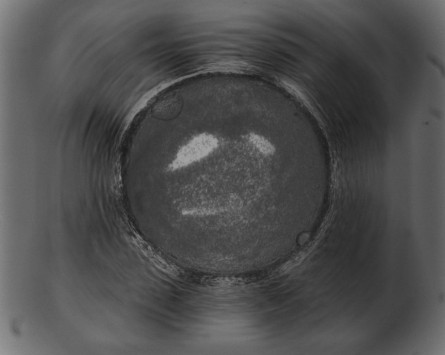 X0000103220923200809111505