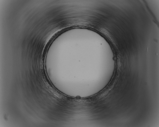 X0000103220924200809111505