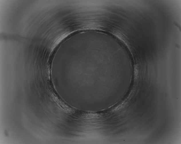 X0000103220925200809111505