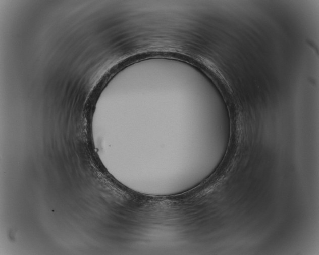 X0000103220926200809111505