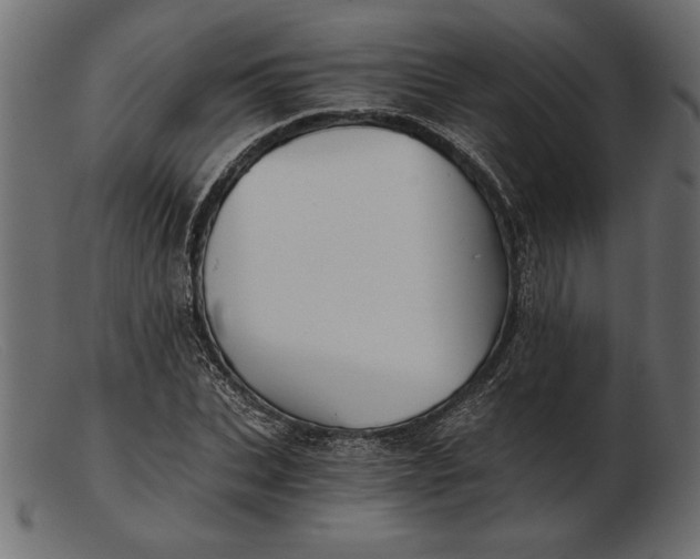 X0000103220927200809111505