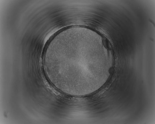 X0000103220928200809111505