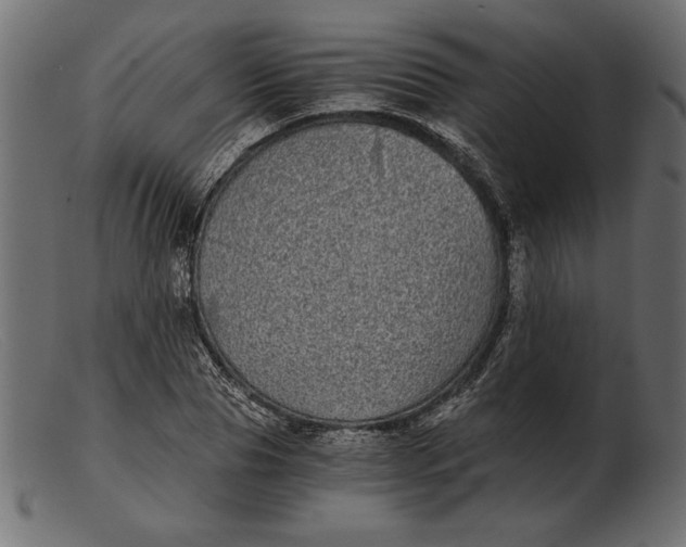 X0000103220929200809111505