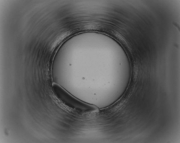 X0000103220930200809111505