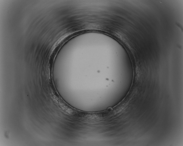 X0000103220931200809111505