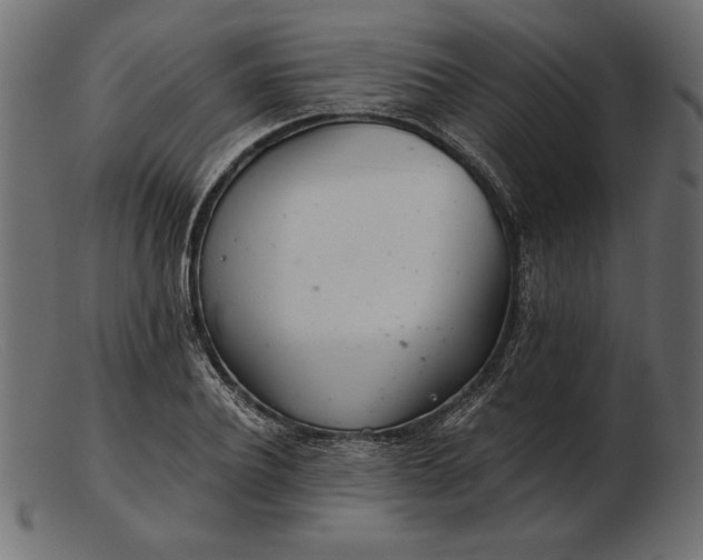 X0000103220932200809111505