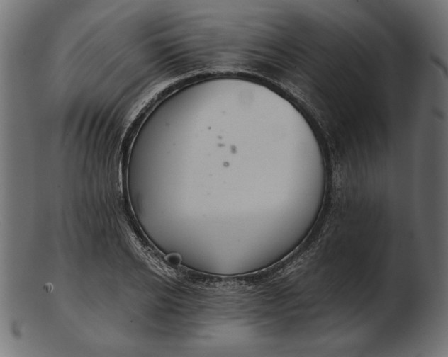 X0000103220934200809111505