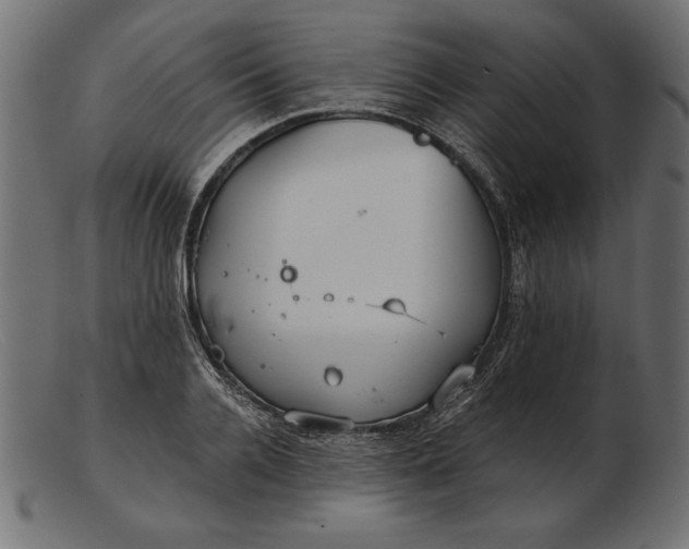 X0000103220936200809111505