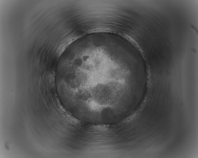 X0000103220937200809111505