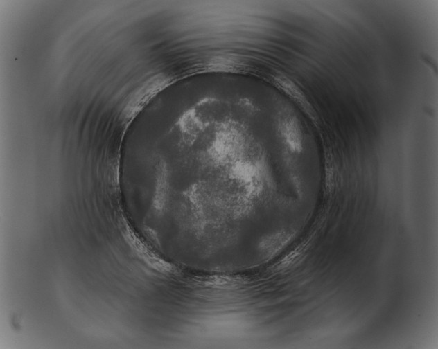 X0000103220938200809111505