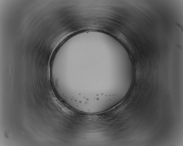 X0000103220940200809111505