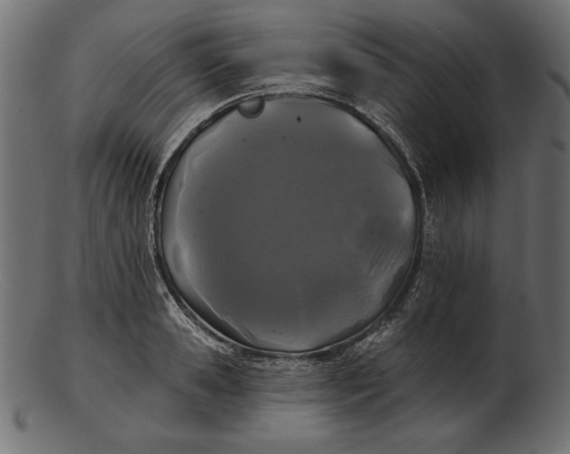 X0000103220941200809111505