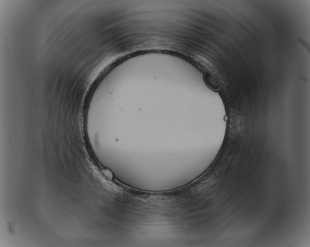 X0000103220942200809111505