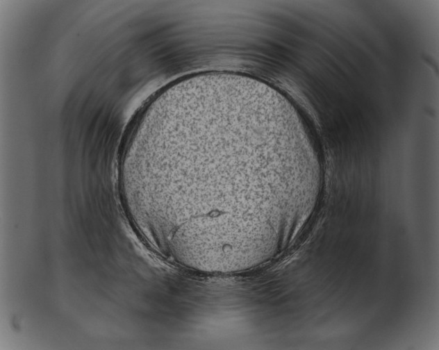 X0000103220944200809111505