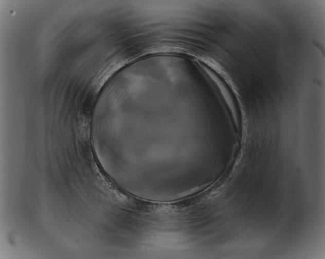 X0000103220945200809111505