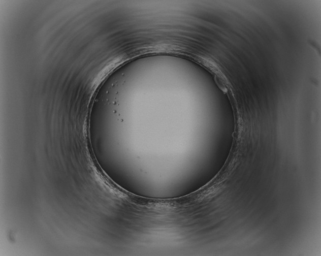 X0000103220946200809111505