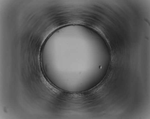 X0000103220947200809111505