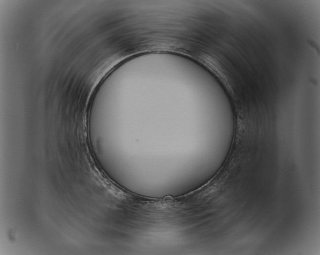 X0000103220948200809111505