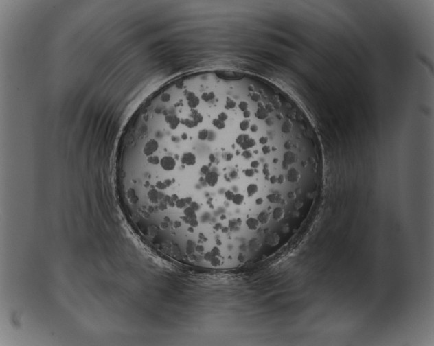 X0000103220949200809111505